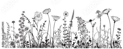 Wild flowers field border sketch hand drawn in doodle style