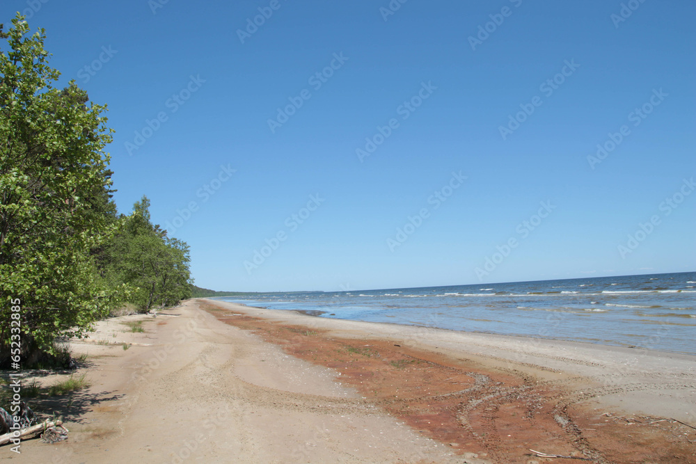 Beautiful seascape, Baltic Sea coast in Latvia, white sand and green Pine. Europe. Sunny Summer day. 
