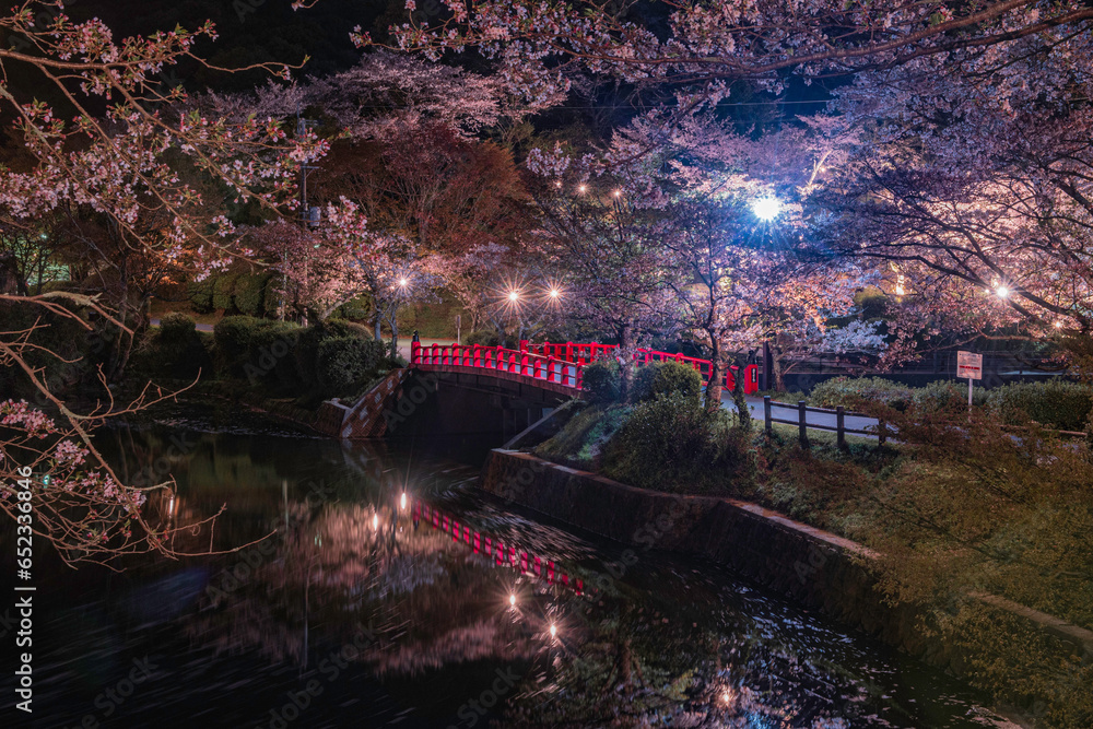 Obraz premium 甘木公園の昭栄橋と夜桜