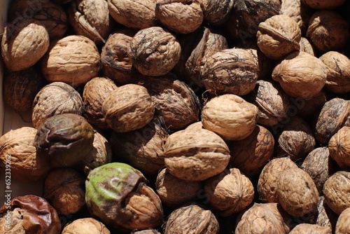 Nueces de temporada
Setiembre
Detalle