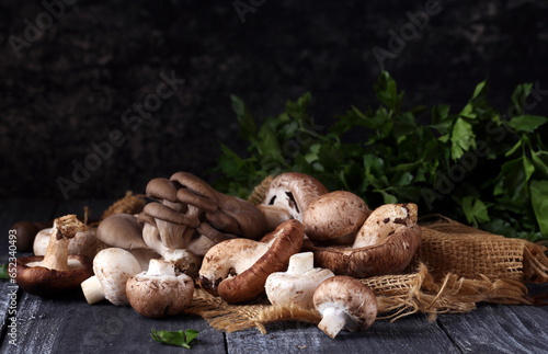 natural organic mushrooms for vegetarian food