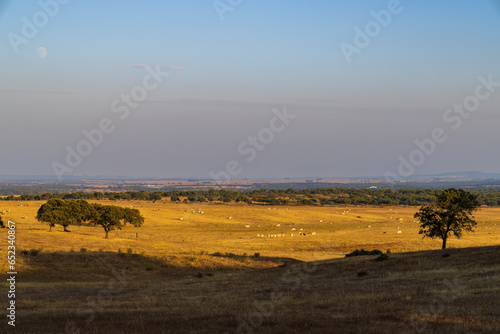 Landscape near Sao Brissos  Santiago do Escoural near Evora  Alentejo  Portugal