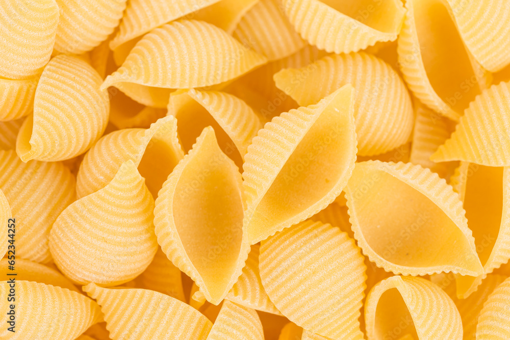 conchiglie pasta shell conchiglie pasta shell