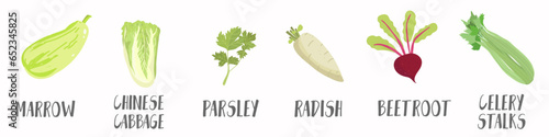 Vector vegetables icons set in cartoon style. Collection farm product for restaurant menu, market label.