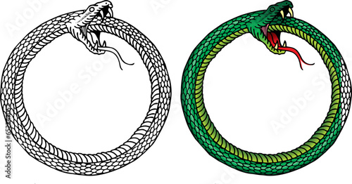 coiled snake biting its own tail, vector image