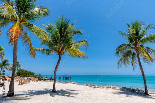 Palm trees on beautiful beach in tropical island, Key Largo. Florida