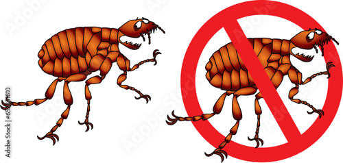 fleeing flea, parasitic insect, cartoon drawing in vector