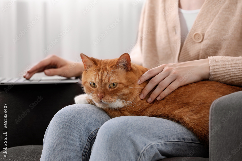 Woman with cat working in armchair at home, closeup