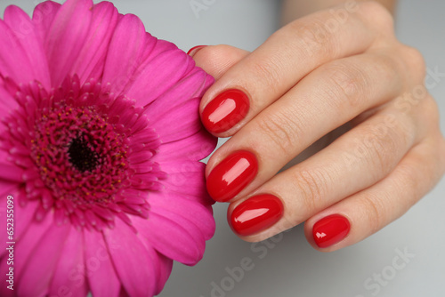 Woman with red polish on nails touching flower on white background, closeup
