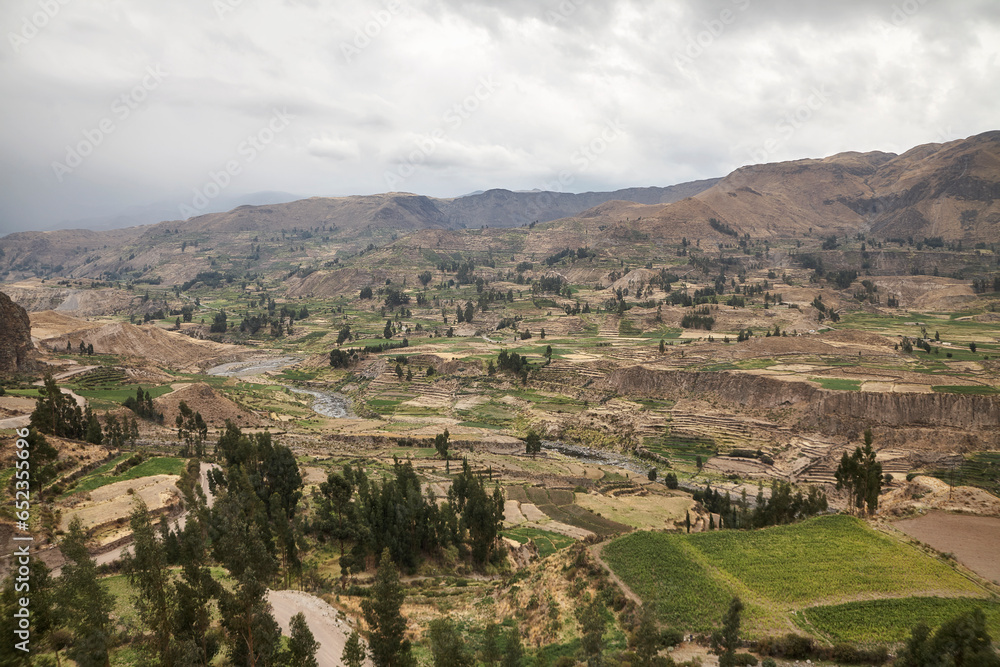 Fototapeta premium Reise durch Südamerika, Peru. Wandern im Colca Canyon entlang des Rio Colca.