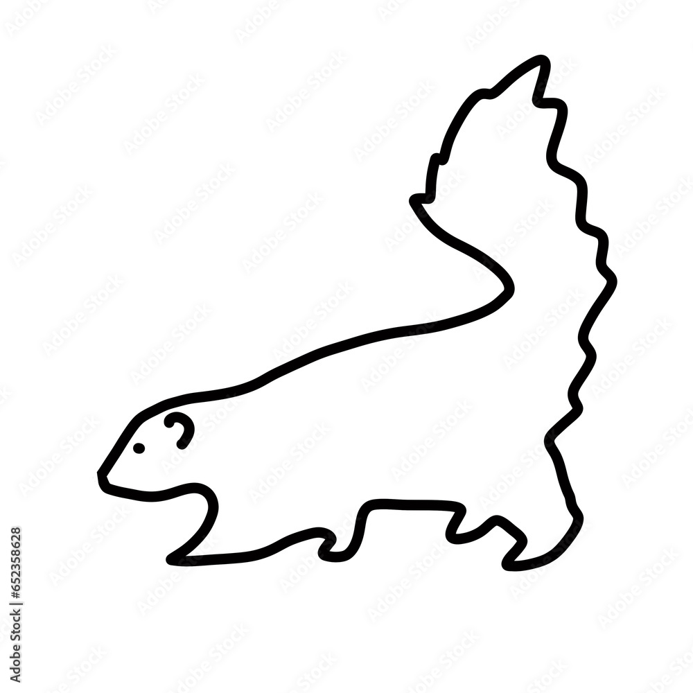 Fototapeta premium skunk nocturnal nature animal