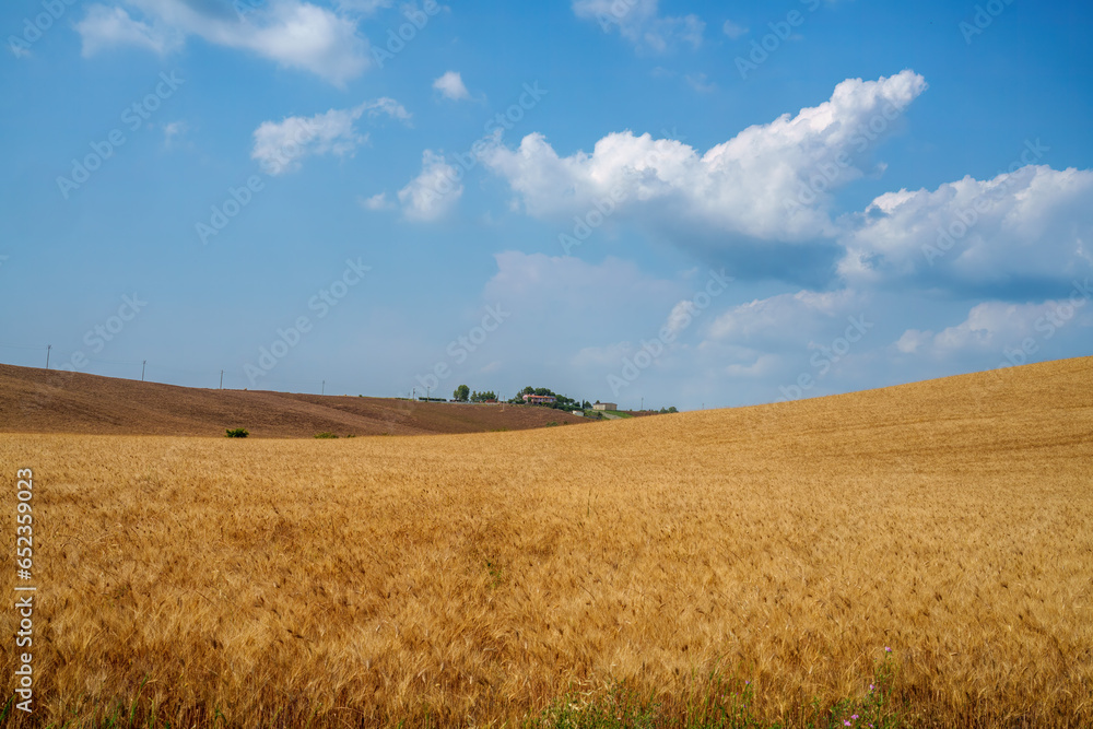 Rural landscape on the hills of Orciano Pisano, Tuscany