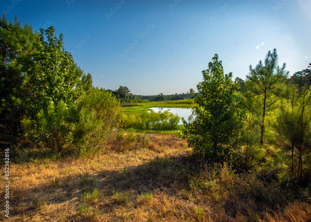 A view from the Spring Creek Nature Trail A view from the Spring Creek Nature Trail