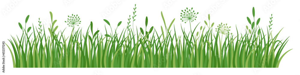 Fototapeta premium Flowers and grass border, meadow green grass, vector illustration, decoration element