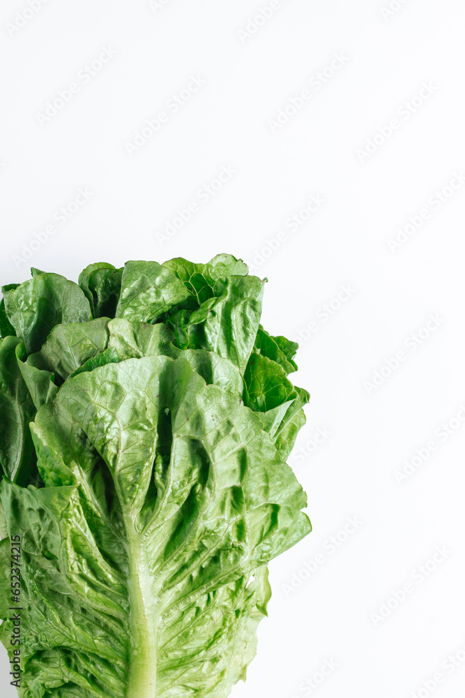 Green lettuce leaves close-up. The concept of proper nutrition