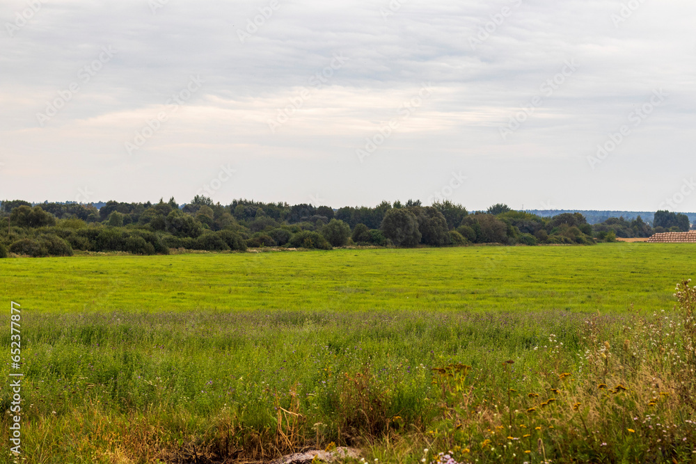 Landscape shot of the field in the village. Nature Landscape shot of the field in the village. Nature