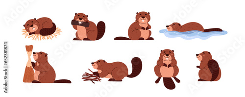 Cute cartoon beavers gnaws at tree, collect branches, float, wild animal with large flat tail vector character set