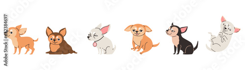 Fotografija Cartoon set of Chihuahua purebred breed furry dog, cute little light, brown and