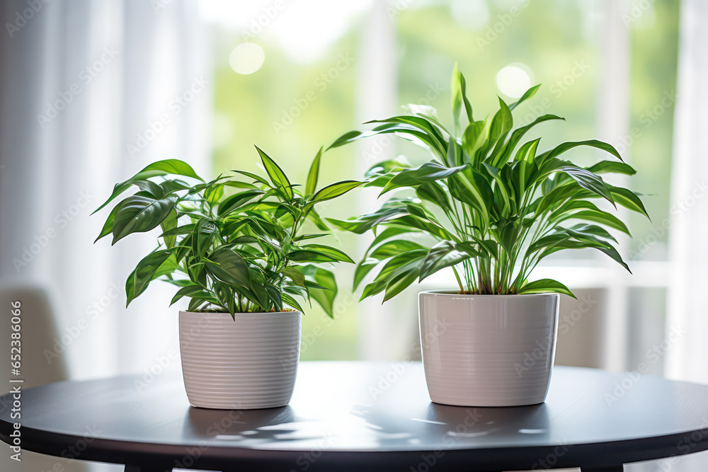 Tabletop Greenery: Small Potted Plants Perched on a Table, Bringing a Touch of Nature Indoors Tabletop Greenery: Small Potted Plants Perched on a Table, Bringing a Touch of Nature Indoors