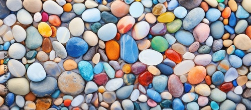 A closeup of colorful sea p...