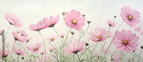 pink flowers in the yard isolated pastel background Copy space © vxnaghiyev