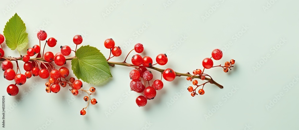 Copy space with fresh berries isolated