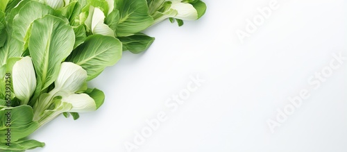 Copy space with bok choy