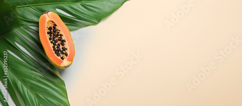 Isolated green leaf on a isolated pastel background Copy space with fresh tropical papaya fruit