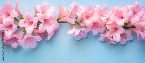 Cute and beautiful images o...