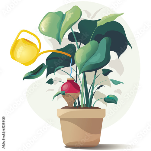 Illustration vectorielle d'une plante monstera dans un pot en argile, de l'eau s'écoule d'un arrosoir pour se verser dans un oya en céramique, les grandes feuilles vertes conservent l'humidité