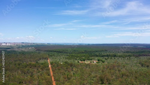 Floresta Nacional de Brasília, vista aérea, foco seletivo photo