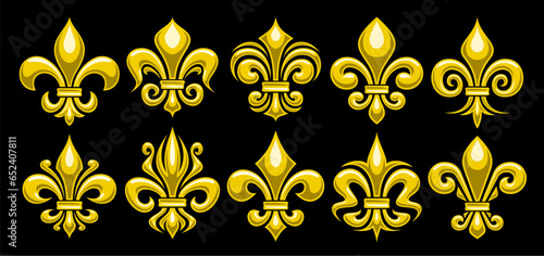 Vector Fleur de Lis set, horizontal banner with lot collection of 10 cut out illustrations of variety yellow fleur de lis lily flowers, group of many different ornate art symbols on black background photo