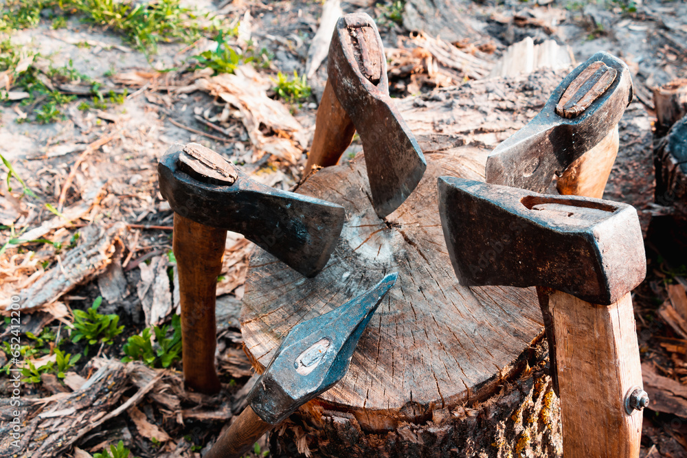 Axes with wooden handles are placed on a wooden log. The hatchets. Harvesting firewood in the village. Craft at the countryside. Healing and longevity. Meditation of nature.Timber pantry.
Axes with wooden handles are placed on a wooden log. The hatchets. Harvesting firewood in the village. Craft at the countryside. Healing and longevity. Meditation of nature.Timber pantry.