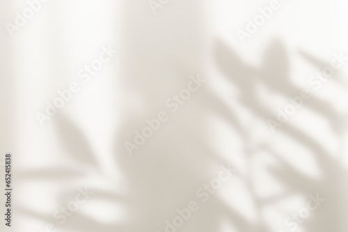 Abstract silhouette shadow white background of natural leaves tree branch falling on wall. Transparent blurry shadow leaf in morning sun light. Copy space for text.	