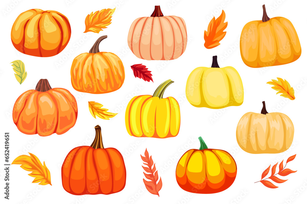 Set of different pumpkins, autumn season, autumn leaves, clip art, cartoon pumpkins for holiday decoration  