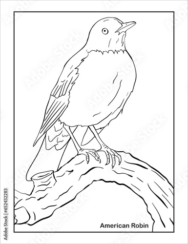 Hand drawing Sketch of an American Robin, outline Vector Bird Coloring page.
