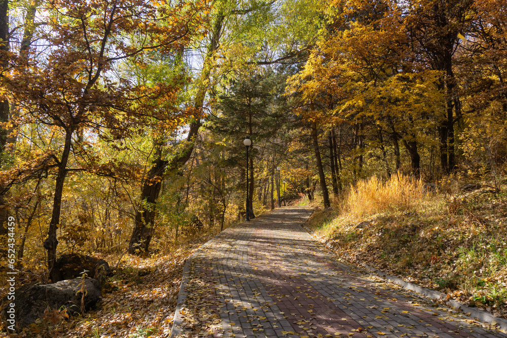Autumn landscape in the park. The road in the autumn forest.