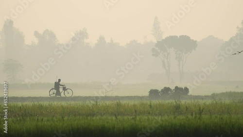 Man riding bicycle in a foggy winter morning. 4k Video of rural Bangladesh with ambient sound. This serene footage is for use in videos about nature, travel, rural life. photo