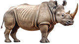 a Rhinoceros, full body in a side view, in an isolated and transparent PNG in a Wildlife-themed, photorealistic illustration. Generative ai