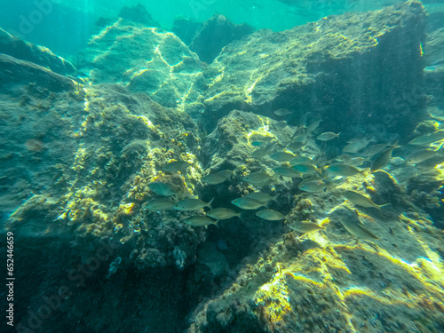 Underwater snorkeling in Moraira Alicante province Spain