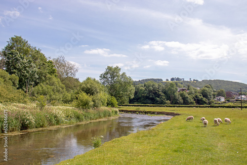 Summertime river in the UK.