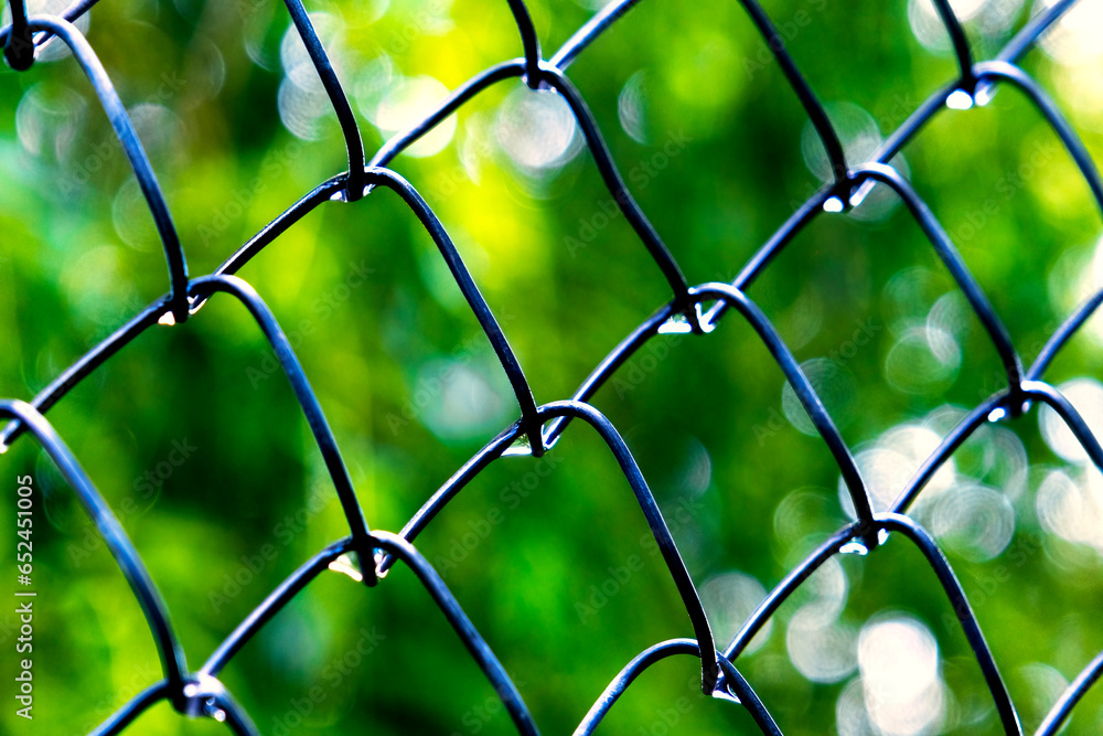 Fototapeta premium water drops on the wire fence