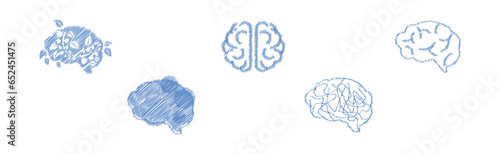 Human Brain Blue Icon and Drawn Symbol Vector Set