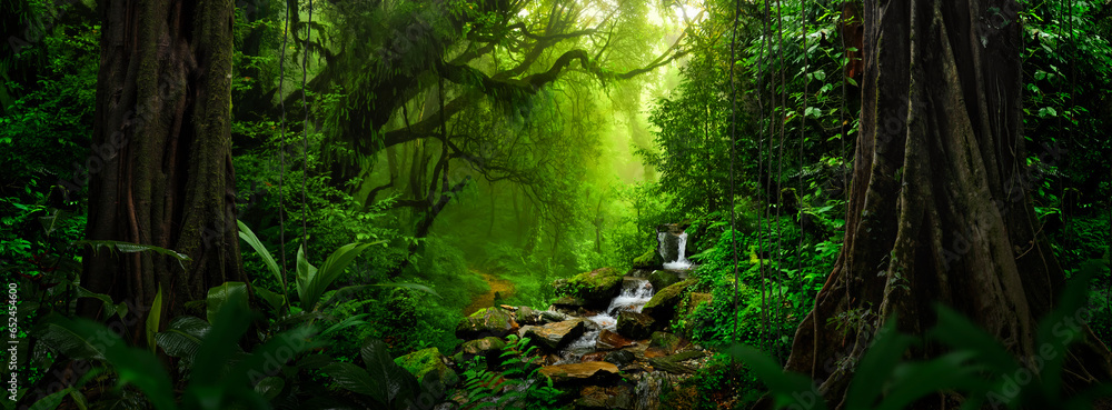 Tropical forest landscape with river - obrazy, fototapety, plakaty 