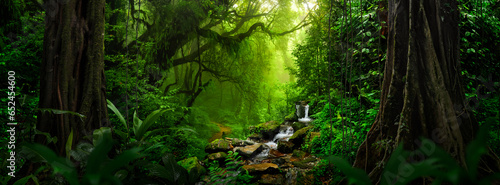 Tropical forest landscape with river © quickshooting