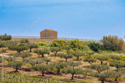 Agricultural spring landscape below the historic town of Salemi on the island of Sicily photo