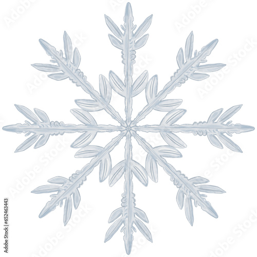 Canvas Print Ilustraci√≥n de copo de nieve en forma de dentritas estelares, navidad, invierno