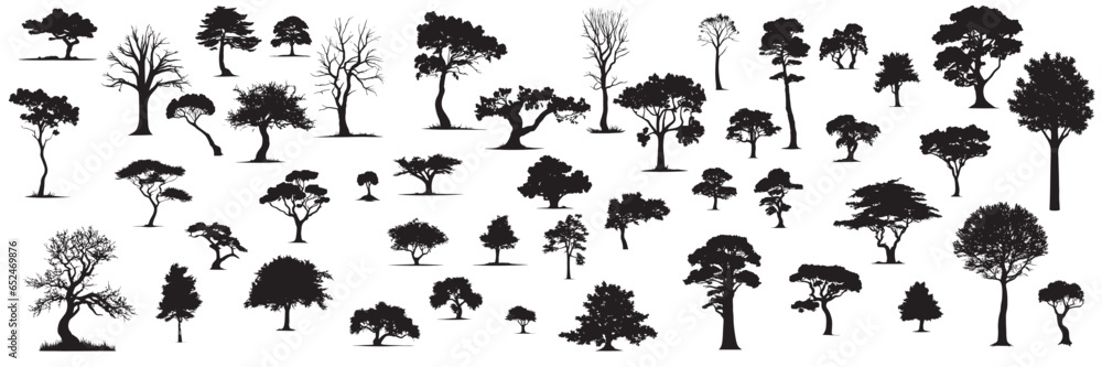 Fototapeta premium Large collection of trees silhouette with leaves. Leaves tree silhouette isolated on white background. Vector illustration.