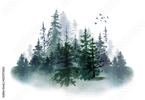 Watercolor foggy forest landscape illustration. Wild nature in wintertime.  Abstract graphic isolated on transparent background