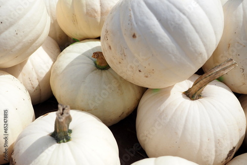 Pumpkins and gourds for the fall season.